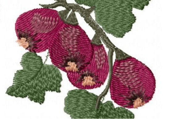 Figs: A Boutique Sweatshirt Embroidery Review