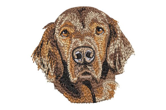 Irish Setter Embroidery Design Review