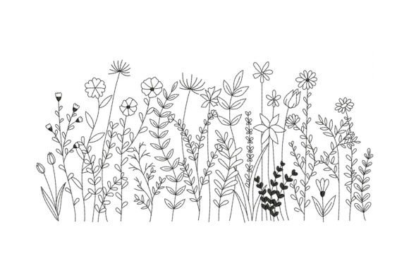 Wildflower Botanical Meadow Garden